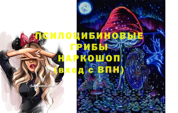круглые Гусиноозёрск