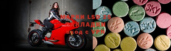 амф Дмитриев