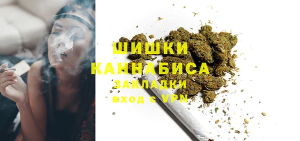 сатива Гусь-Хрустальный