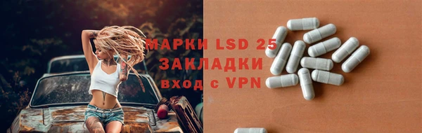 jwh Гусев