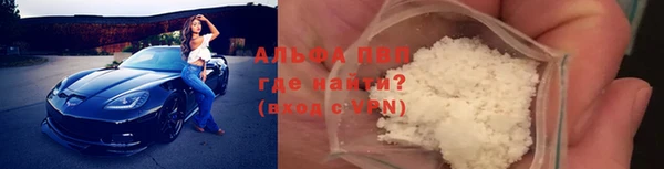 сатива Гусь-Хрустальный