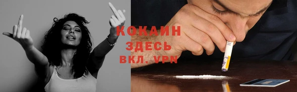 jwh Гусев