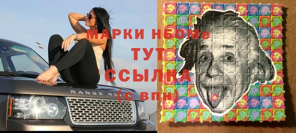 сатива Гусь-Хрустальный