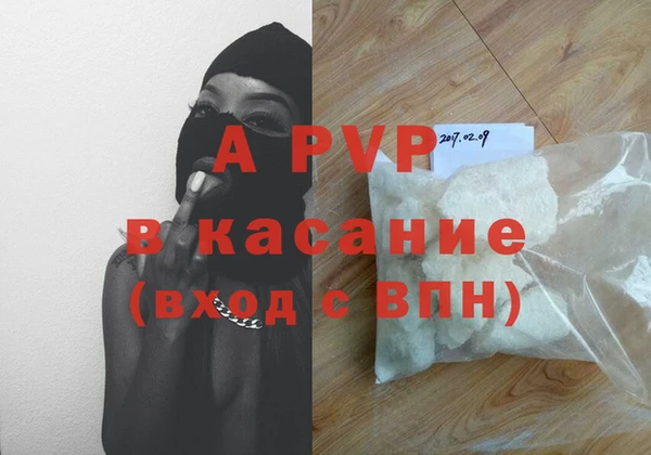сатива Гусь-Хрустальный