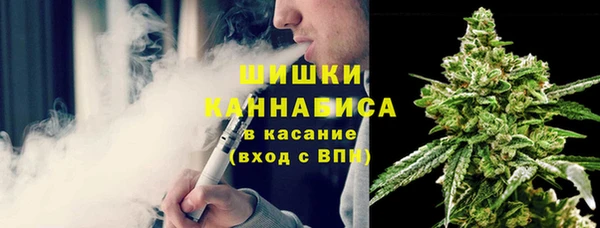 амф Дмитриев