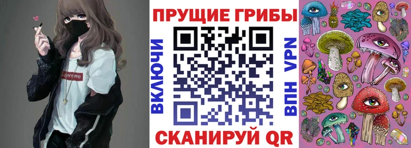 Псилоцибиновые грибы ЛСД Купить Новозыбков